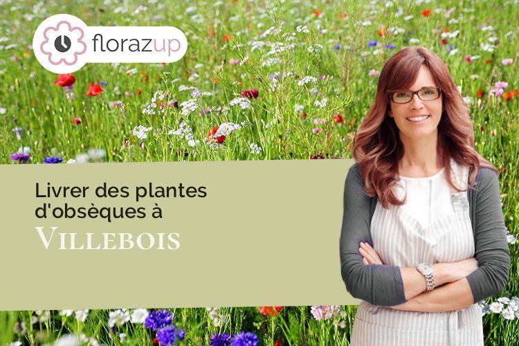 plantes pour une crémation à Villebois (Ain/01150)