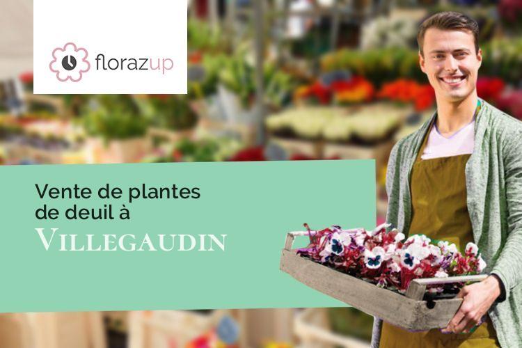 bouquets de fleurs pour un enterrement à Villegaudin (Saône-et-Loire/71620)