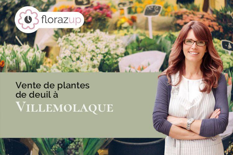 couronnes de fleurs pour un enterrement à Villemolaque (Pyrénées-Orientales/66300)