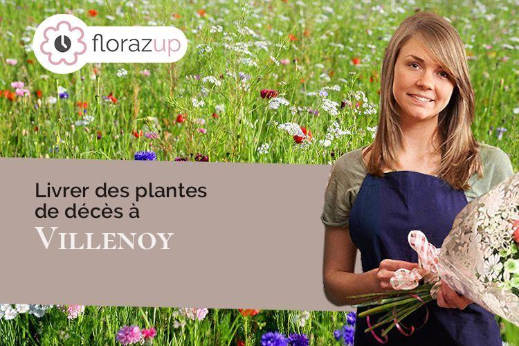 bouquets de fleurs pour un décès à Villenoy (Seine-et-Marne/77124)