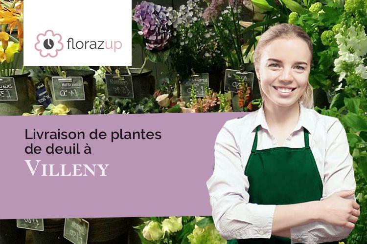 compositions de fleurs pour un enterrement à Villeny (Loir-et-Cher/41220)