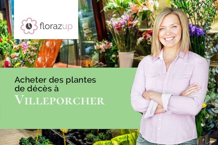 bouquets de fleurs pour un décès à Villeporcher (Loir-et-Cher/41310)