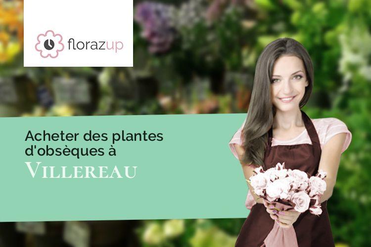 plantes pour un deuil à Villereau (Nord/59530)