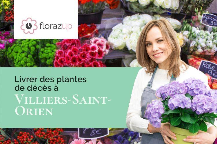 fleurs deuil pour un décès à Villiers-Saint-Orien (Eure-et-Loir/28800)
