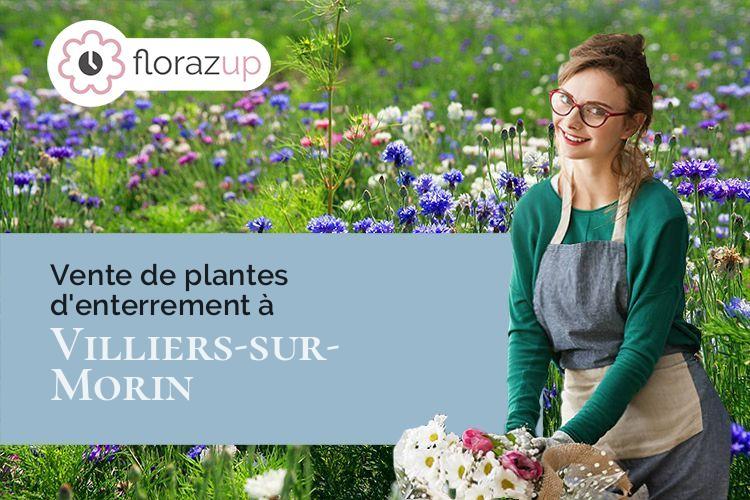 fleurs deuil pour une crémation à Villiers-sur-Morin (Seine-et-Marne/77580)