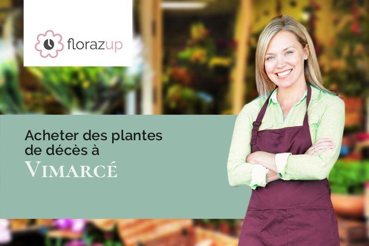 plantes pour un enterrement à Vimarcé (Mayenne/53160)