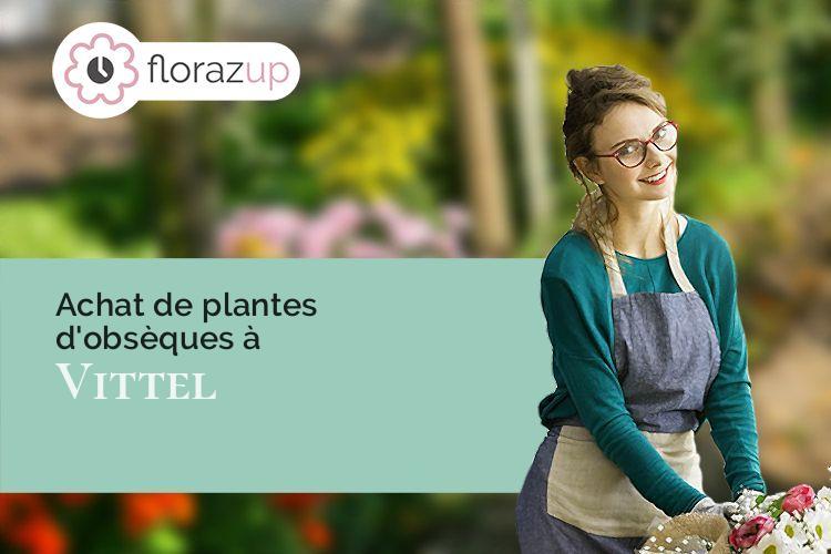 plantes pour un décès à Vittel (Vosges/88800)
