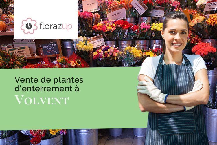 créations de fleurs pour un décès à Volvent (Drôme/26470)