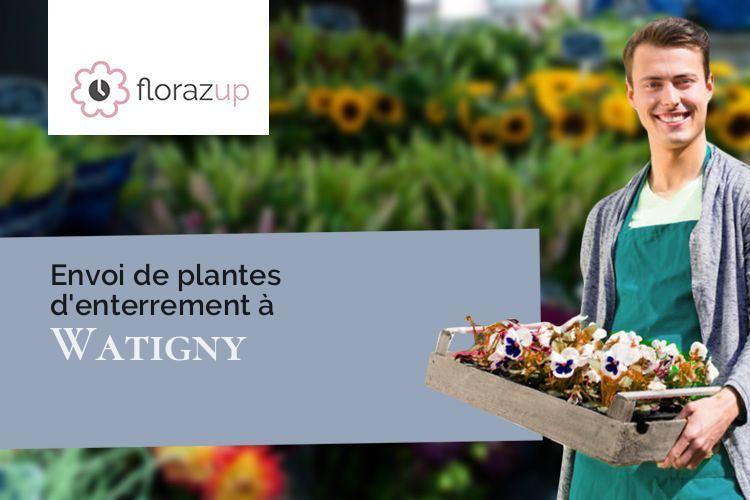 plantes pour un deuil à Watigny (Aisne/02830)