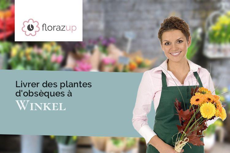 plantes pour une crémation à Winkel (Haut-Rhin/68480)