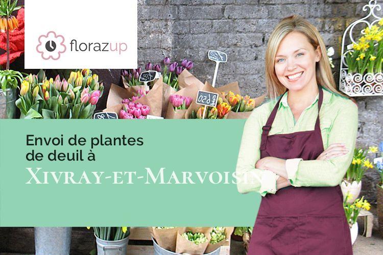 créations de fleurs pour des funérailles à Xivray-et-Marvoisin (Meuse/55300)